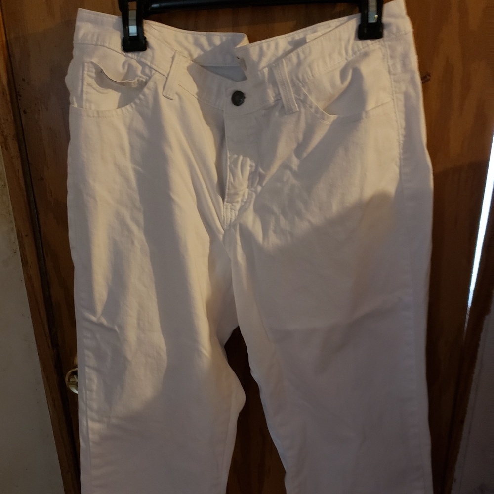 Knee pants